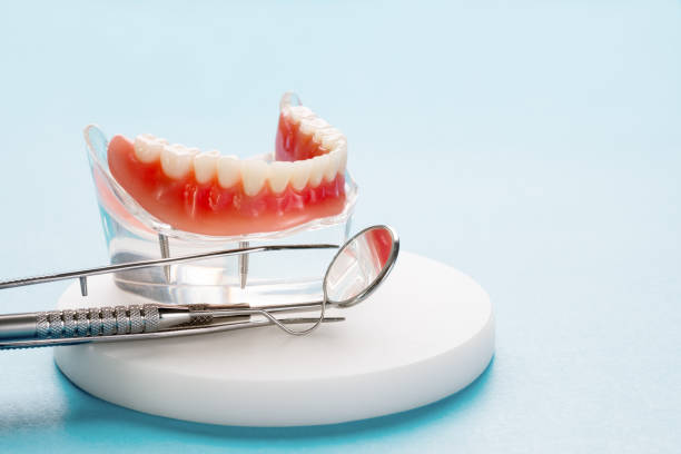 Best Dental Exams and Cleanings  in Spring Hill, FL
